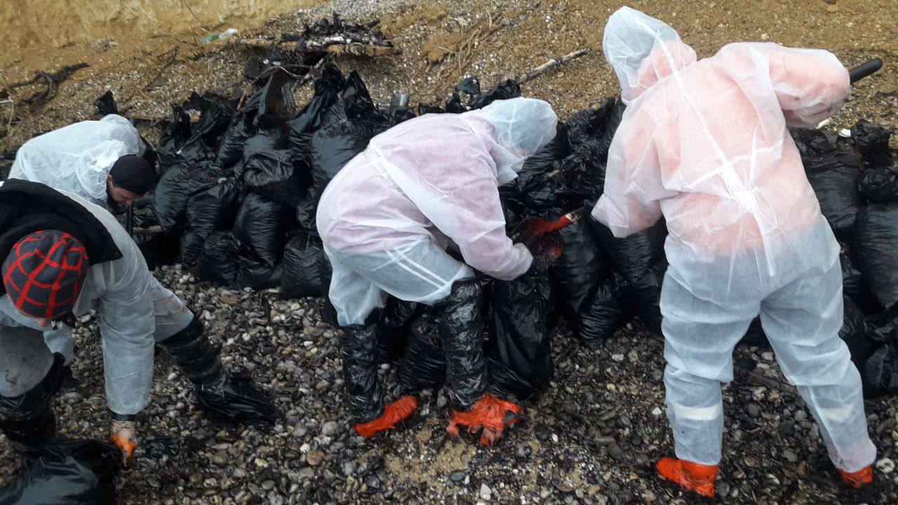 Для ликвидации ЧС с мазутом в Севастополе выделили 78 миллионов рублей