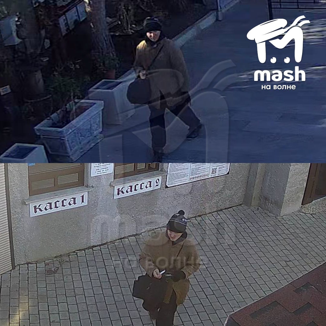 В Крыму задержали мужчину, сбросившего с обрыва в Ялте кошку