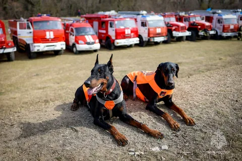 Фото галереи