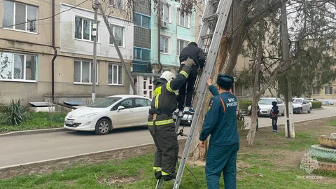 Фото галереи
