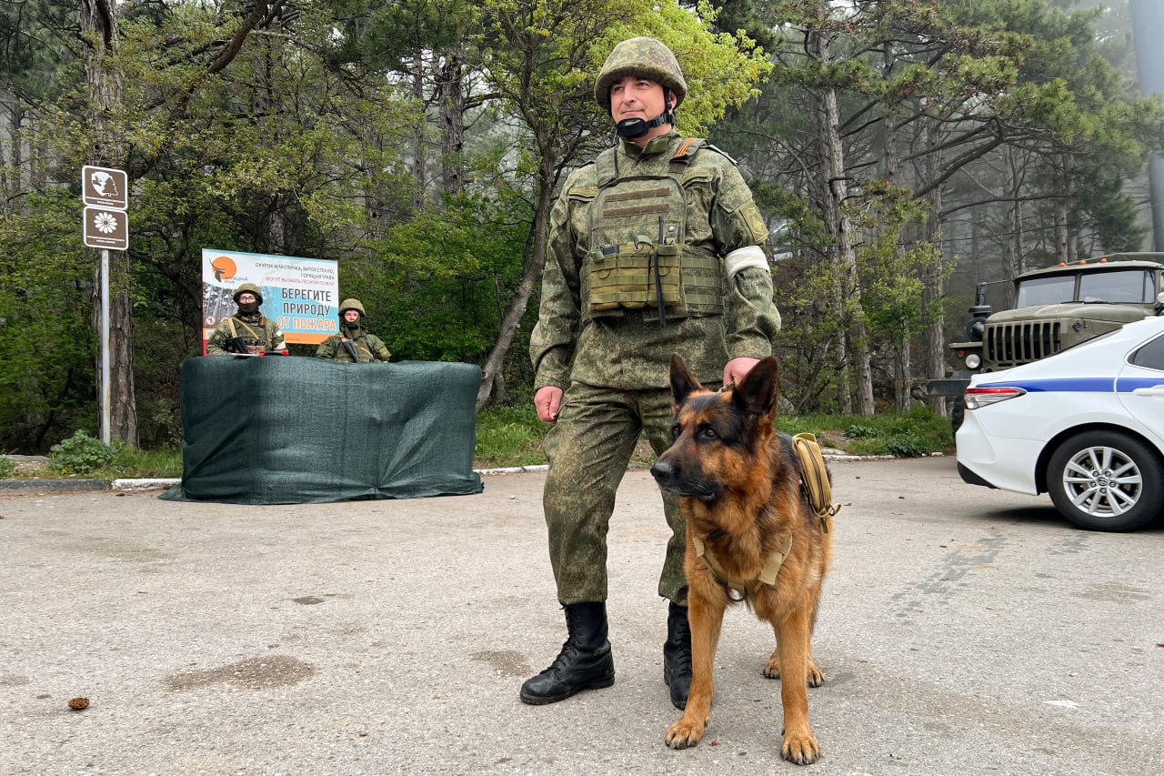 В Крыму завершаются противодиверсионные учения 