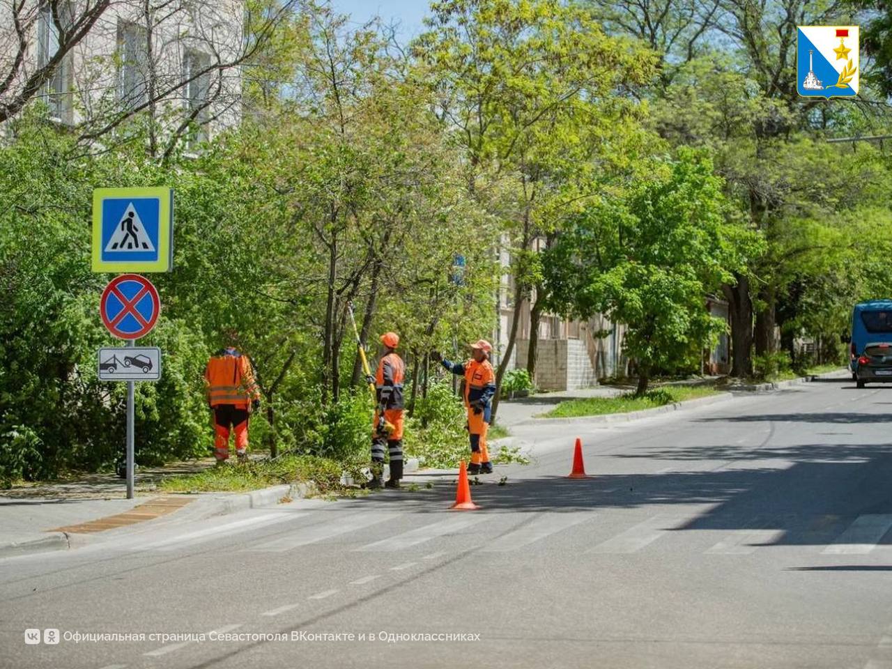На улице Новороссийской началась обрезка зеленых насаждений