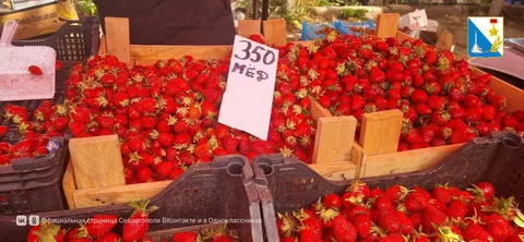 Фото галереи