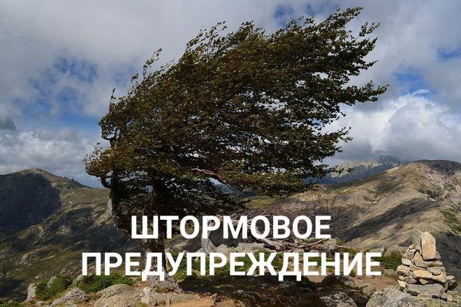 Сильный ветер ожидается на ЮБК и в горах Крыма