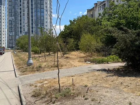 Фото галереи