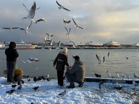 Фото галереи