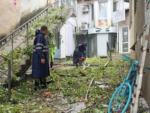 Фото галереи