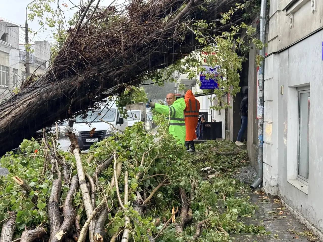 Порядка 450 человек устраняют последствия непогоды в Севастополе (ФОТО)