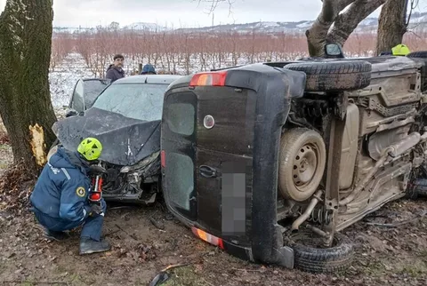 Фото галереи