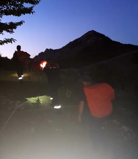 Фото галереи