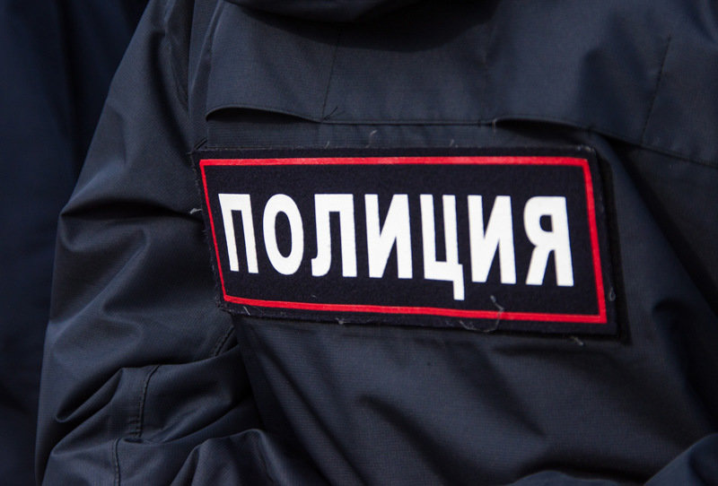 Полицейские установили участников избиения школьницы в Щелкино