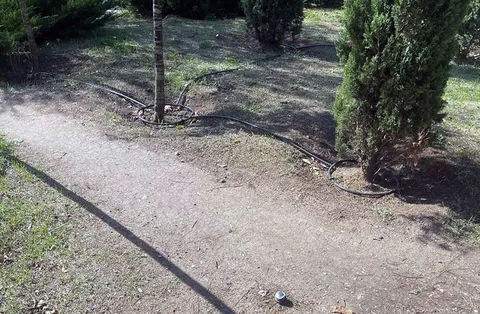 Фото галереи