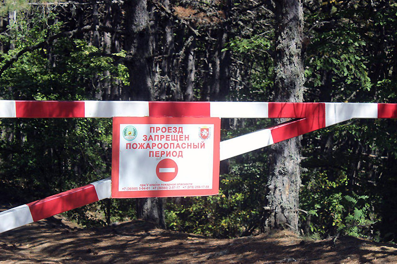 В Крыму с 1 июля введено ограничение на посещение лесов