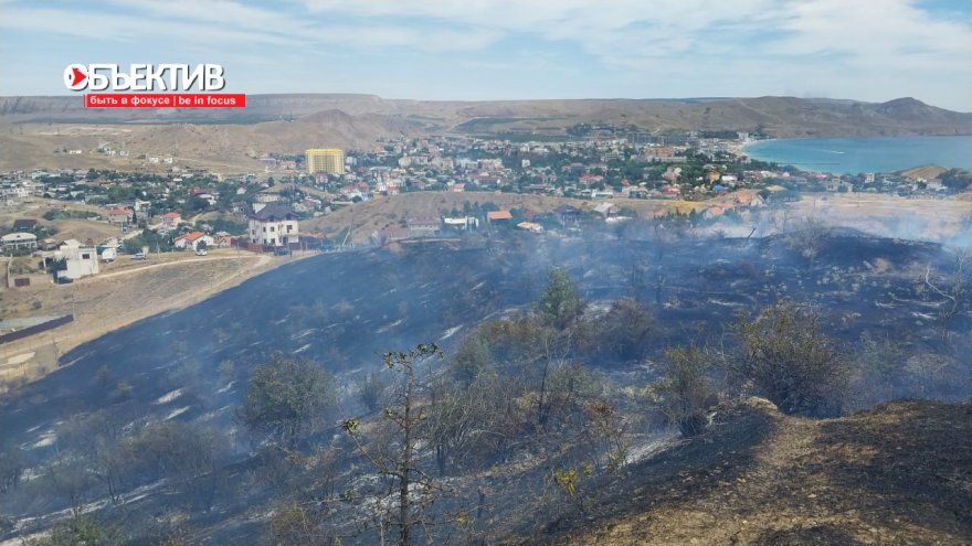 Виновник пожара в Карадагском заповеднике получил условный срок