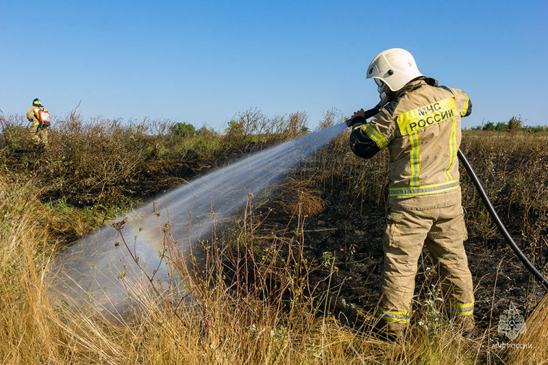 В Севастополе пожарные ликвидировали возгорание травы на площади 3 га