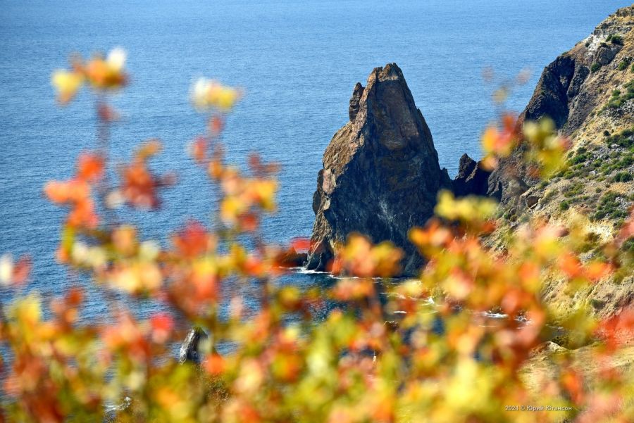 Теплые и ветреные выходные ожидают крымчан (прогноз погоды на 21 сентября)