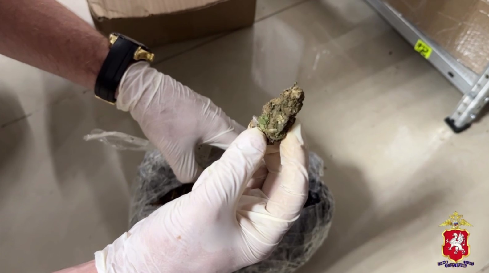 В севастопольском пункте выдачи заказов обнаружили более 600 граммов марихуаны (видео)