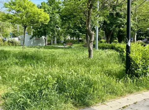 Фото галереи