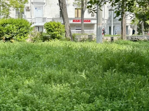 Фото галереи