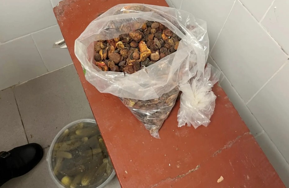 В школах и детсадах Балаклавы выявили нарушения при организации питания (ФОТО)