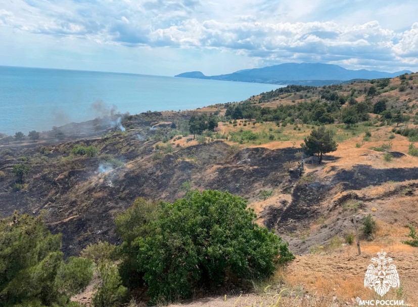 Природный пожар на площади 5 га потушили под Алуштой