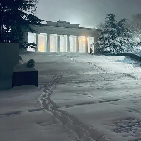 Фото галереи