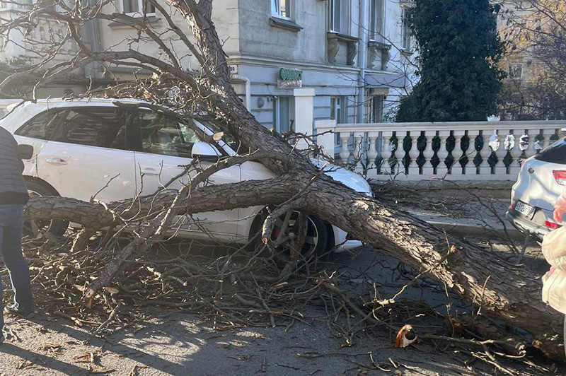 На 4-й Бастионной ветка дерева упала на автомобиль и проезжую часть и парализовала движение (ОБНОВЛЕНО)