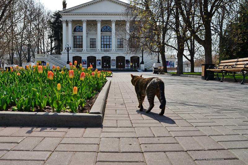 Температура воздуха в Севастополе и Крыму вновь повышается (прогноз погоды на 22 марта)
