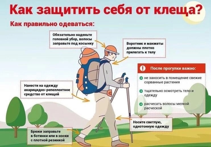 Севприроднадзор напомнил правила защиты от клещей