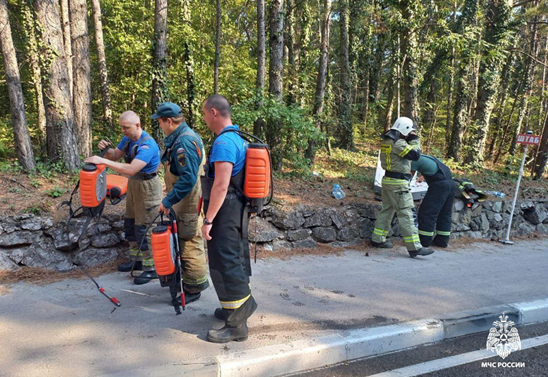 В районе Ялты горел лес на площади почти в три гектара