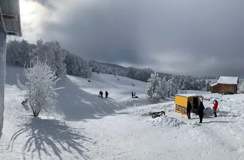 Фото галереи