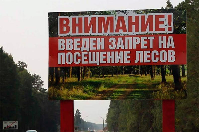 В Крыму до 26 июня введен запрет на посещение лесов