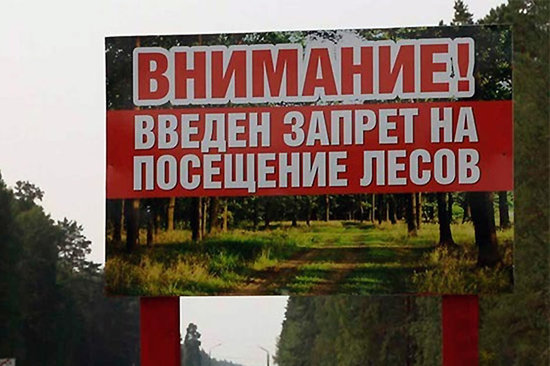 В Севастополе продлен запрет на посещение лесов